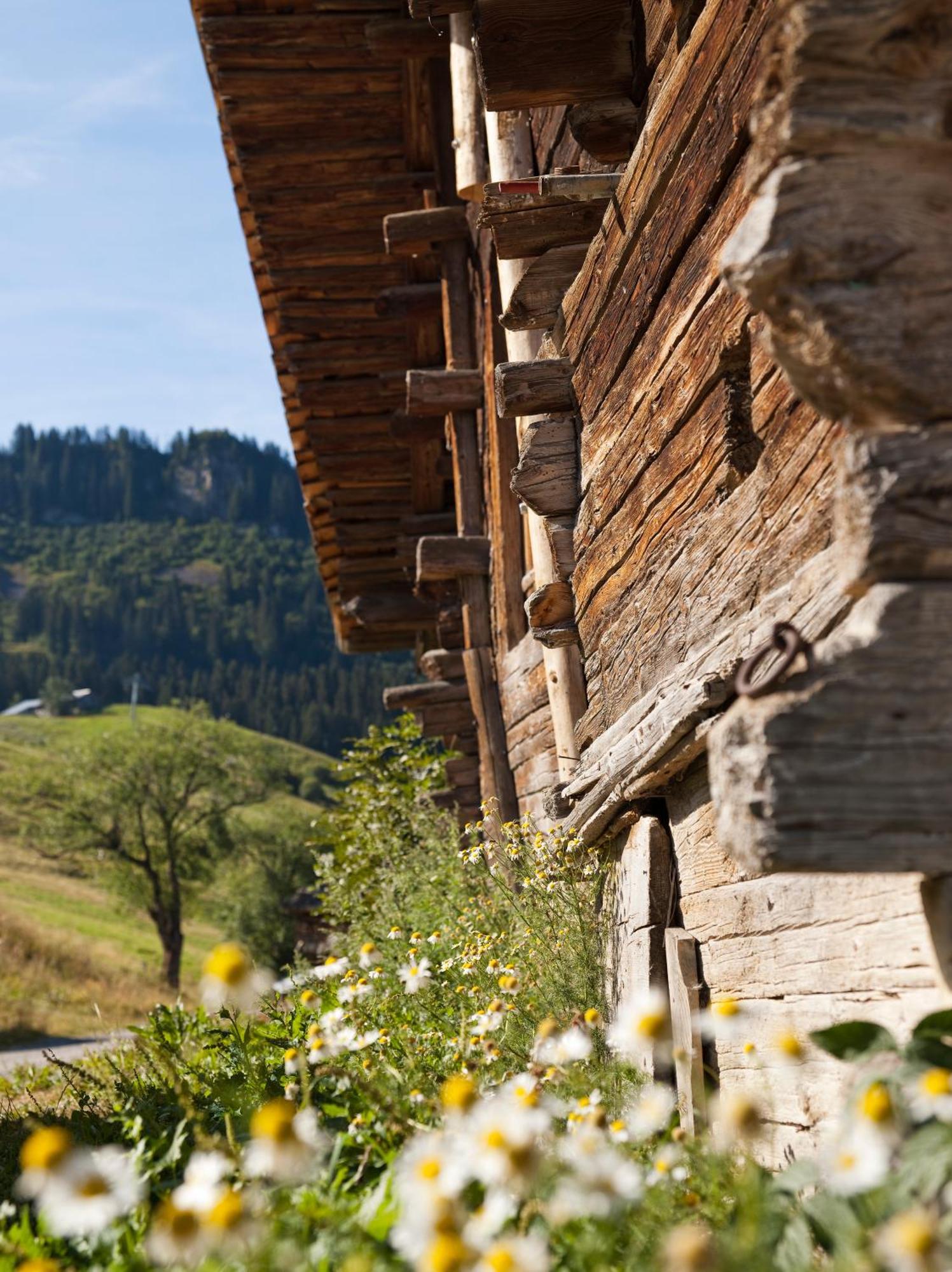 Mgm Hotels & Residences - Residence Le Roc Des Tours Le Grand-Bornand Exterior foto